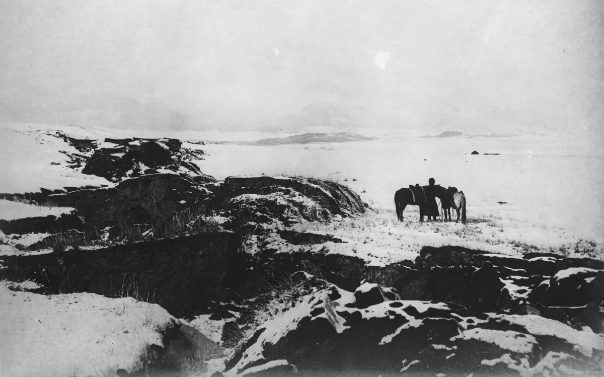 Чёрно-белая фотография трещин и уступов земной поверхности зимой, вдали лошади